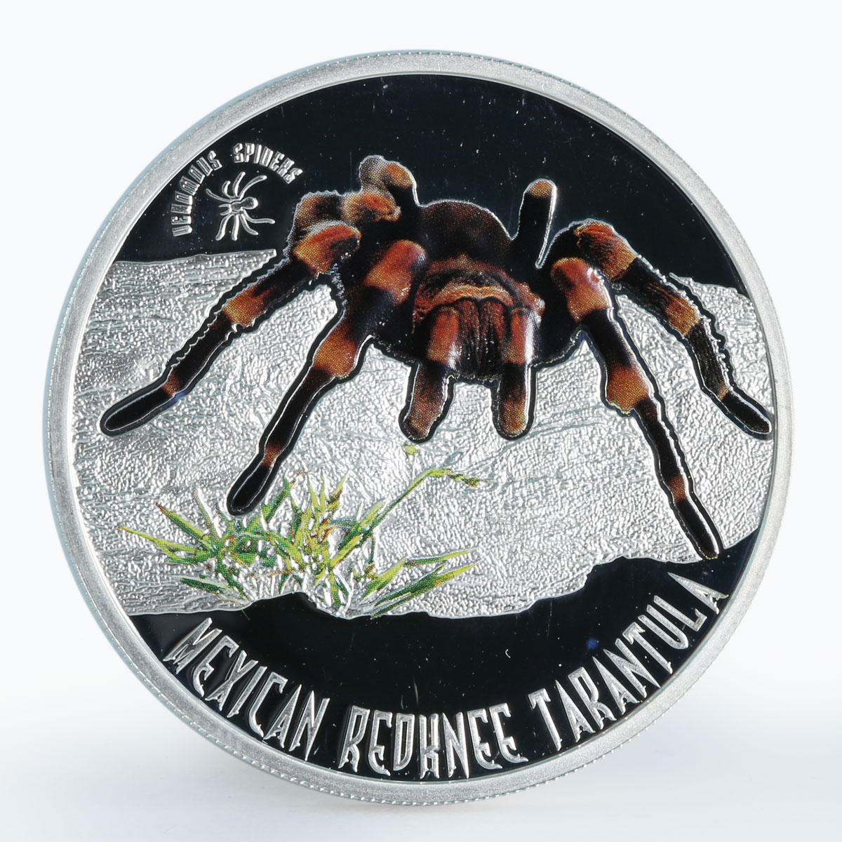 Niue 1 dollar Mexican redknee tarantula Venomous spiders color silver coin 2012