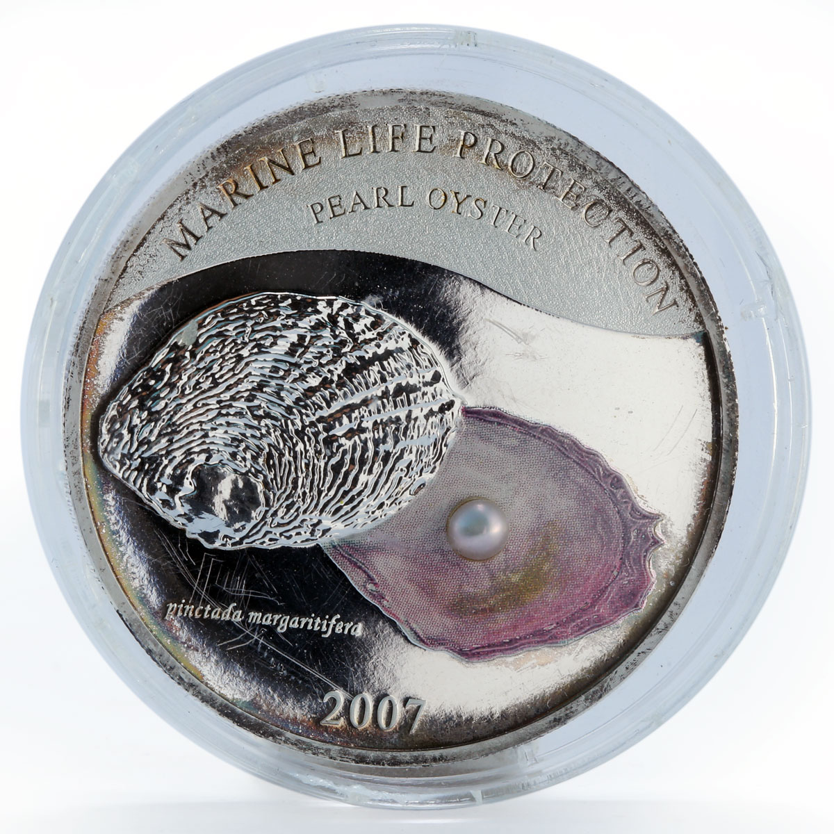 Palau 5 dollars Marine Life Pearl Oyster colored proof silver coin 2007