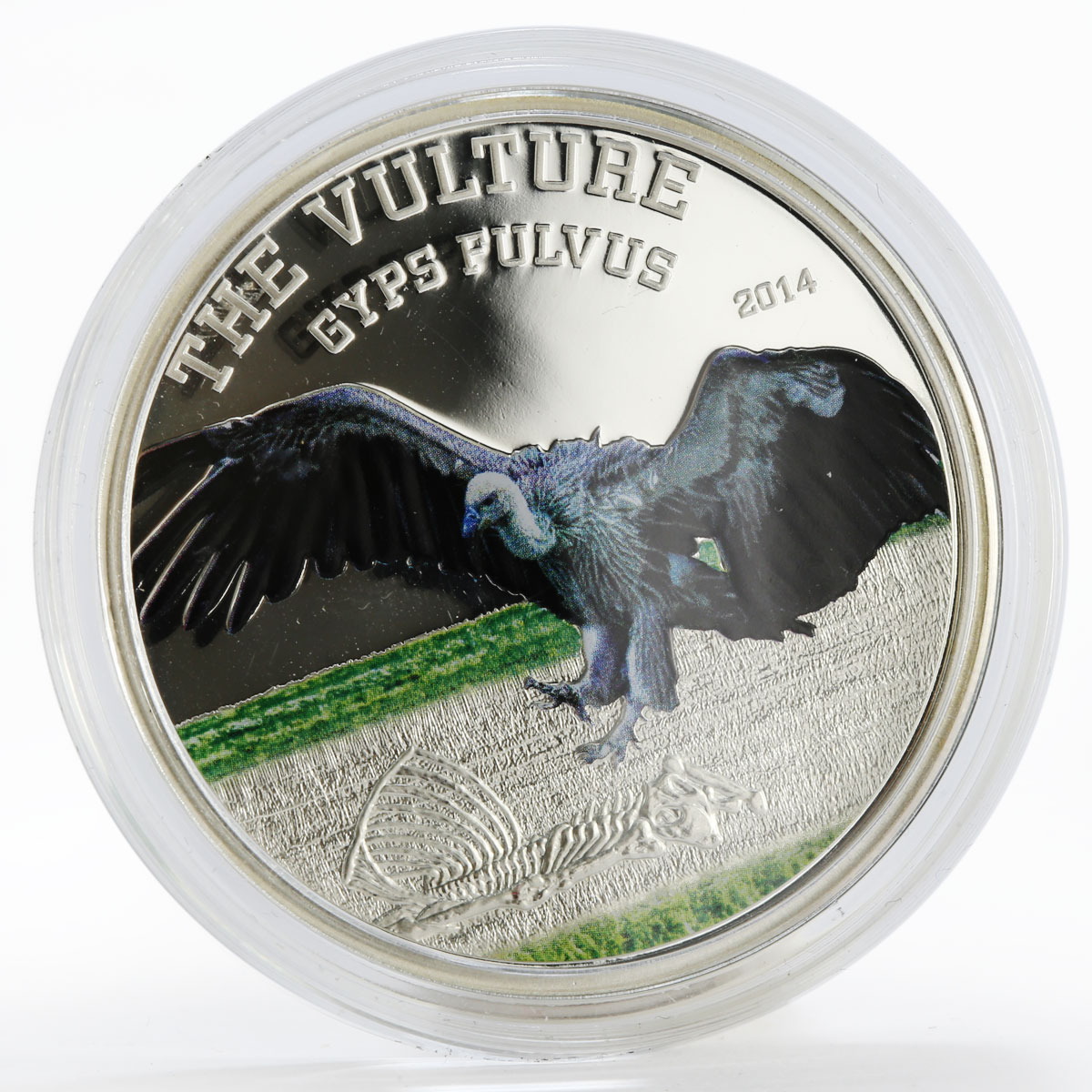 Tanzania 1000 shillings Vulture gyps fulvus birds colored proof coin 2014