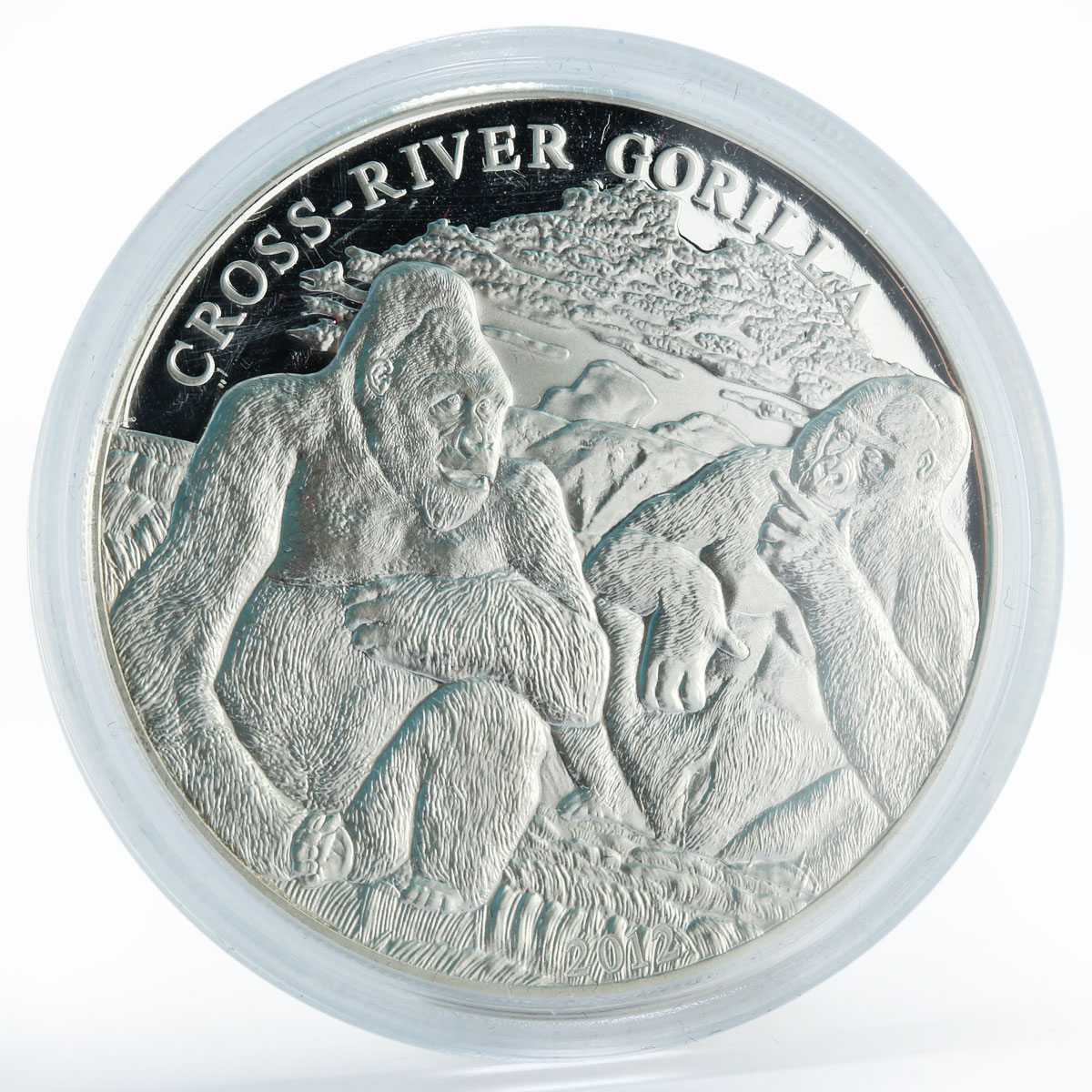 Cameroon 1000 francs Two Cross River Gorilla proof silver coin 2012