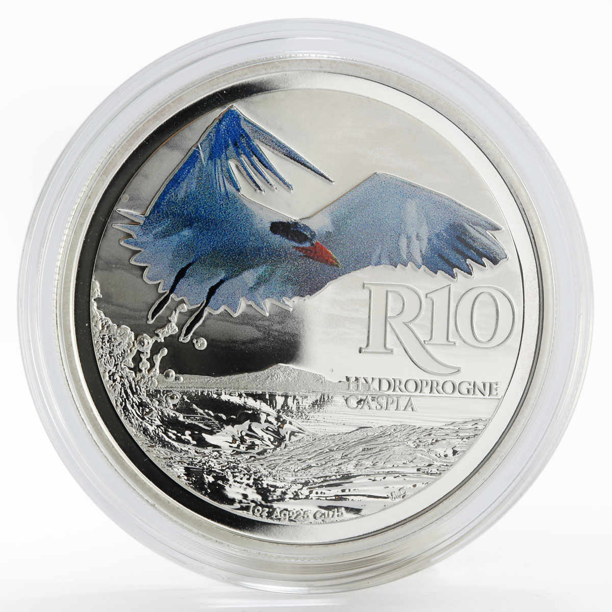 South Africa 10 rand Caspian Tern Hydroprogne Caspia silver colour coin 2017