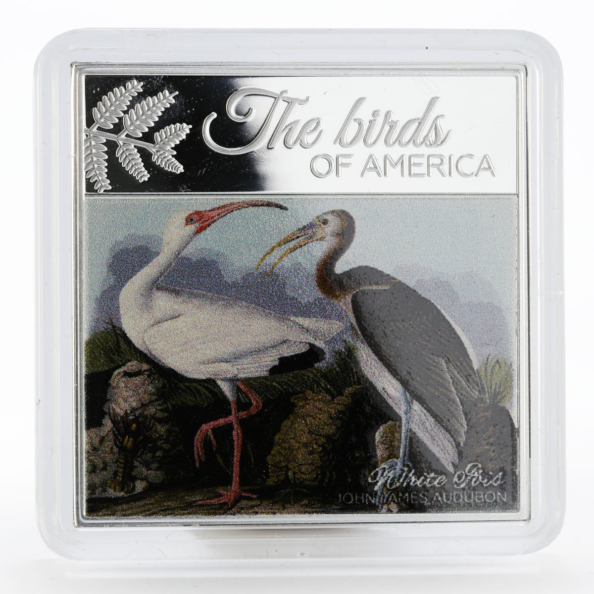 Cameroon 500 francs Birds Of America White Ibis colored proof silver coin 2017