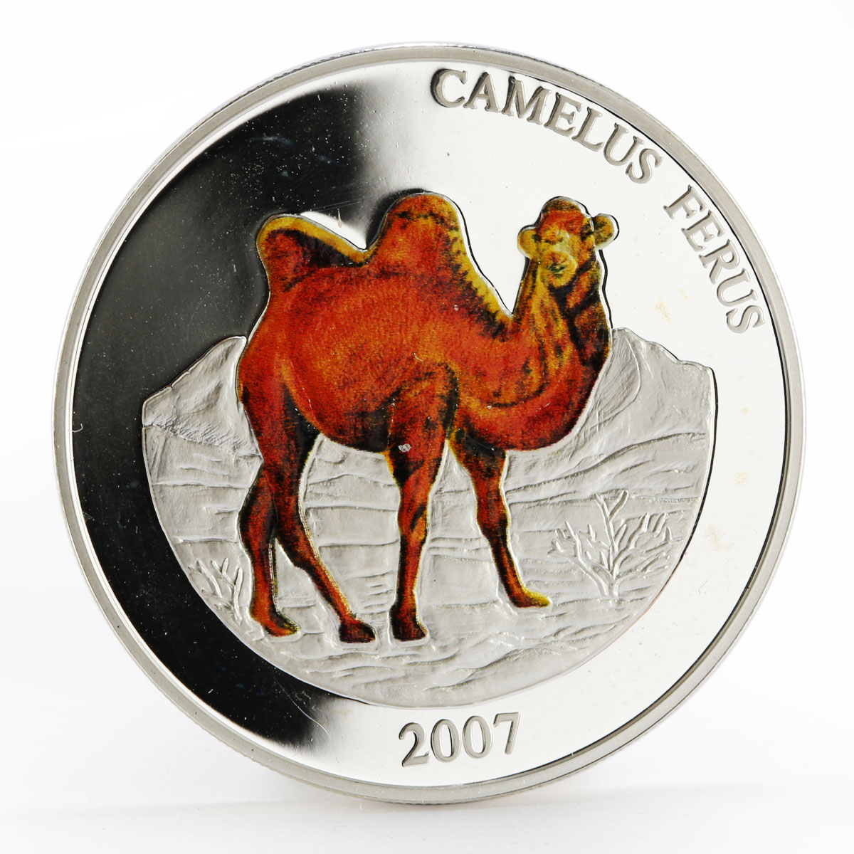 Mongolia 500 togrog Camelus Ferus colored silver proof coin 2007