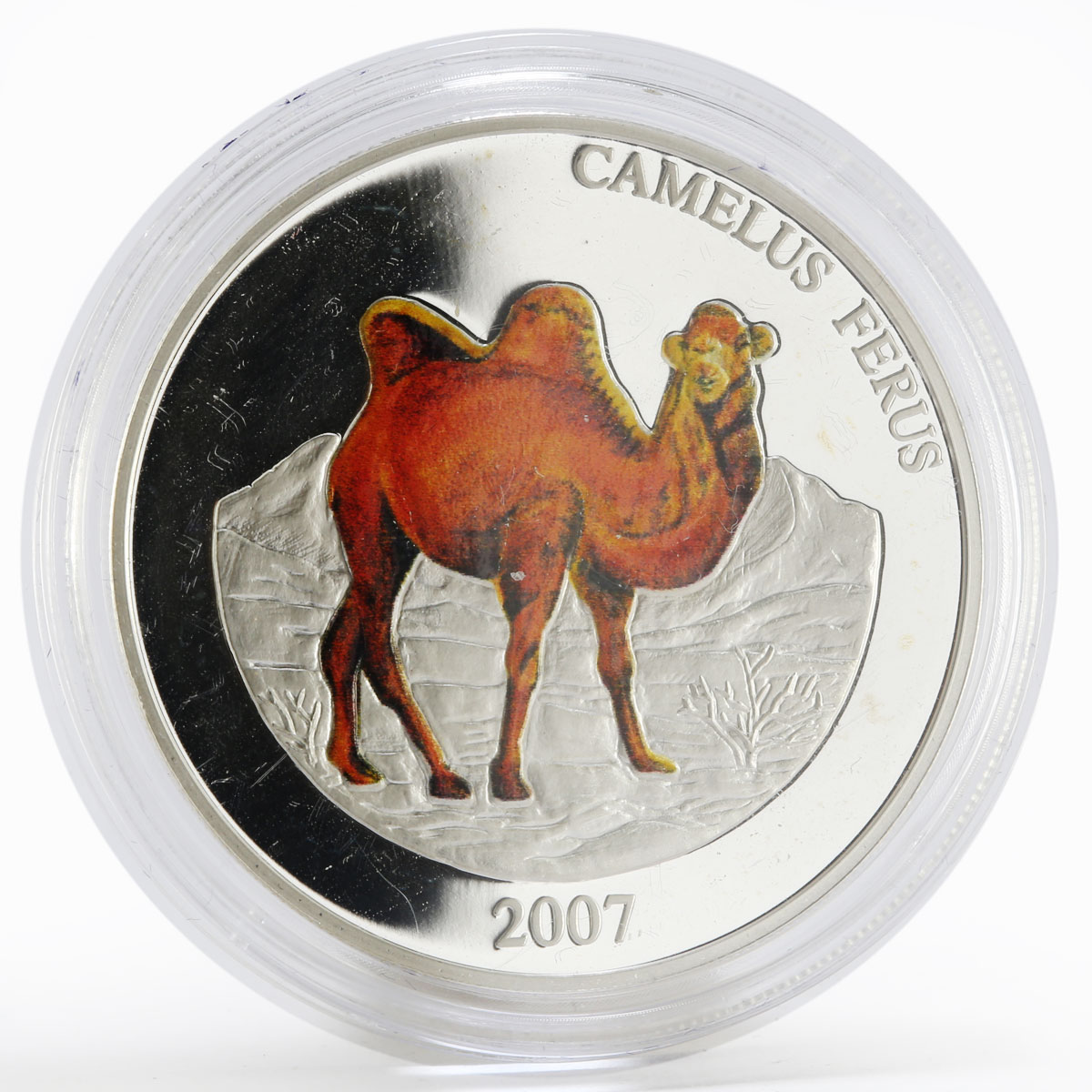 Mongolia 500 togrog Camelus Ferus colored silver proof coin 2007