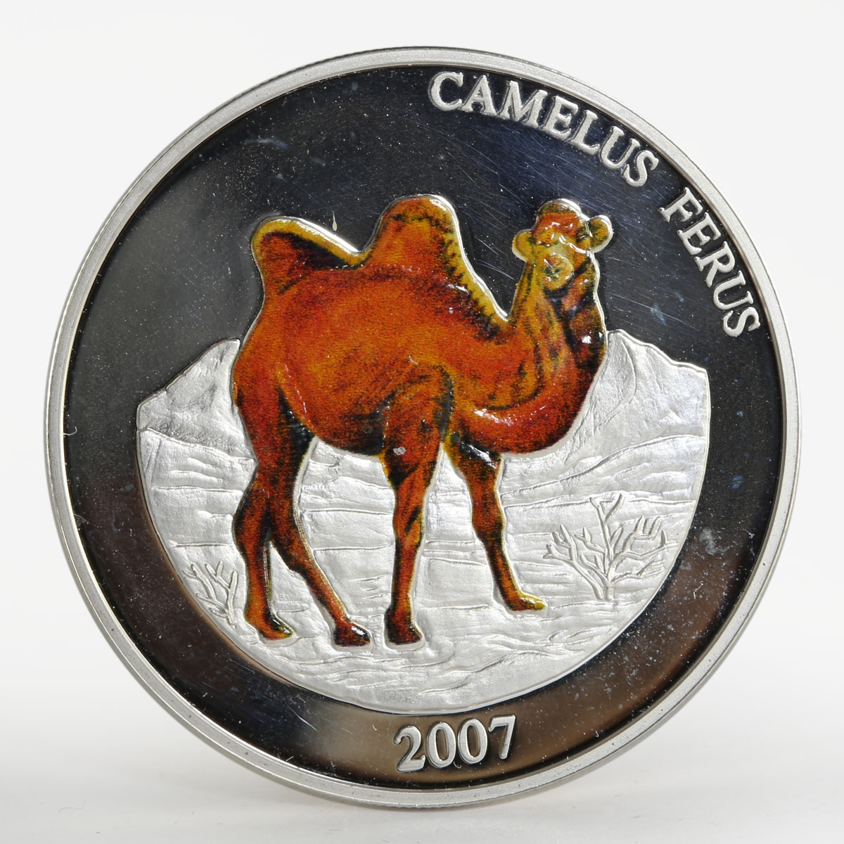 Mongolia 500 togrog Camelus Ferus colored silver proof coin 2007