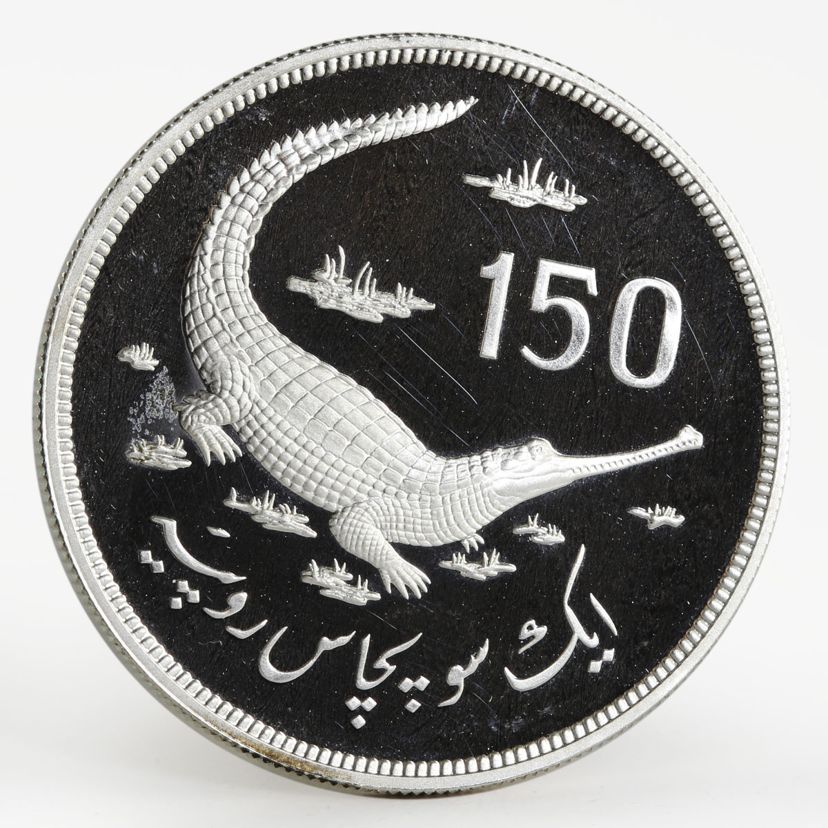 Pakistan 150 rupees Gavial crocodile and value silver coin 1976