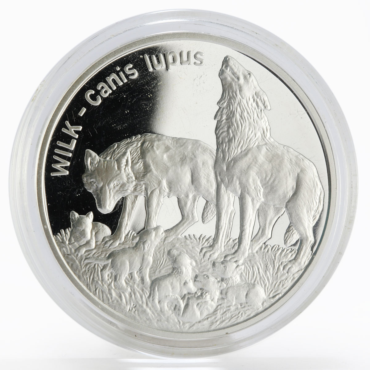 Poland 20 zlotych World Animals series Wolf proof silver coin 1999