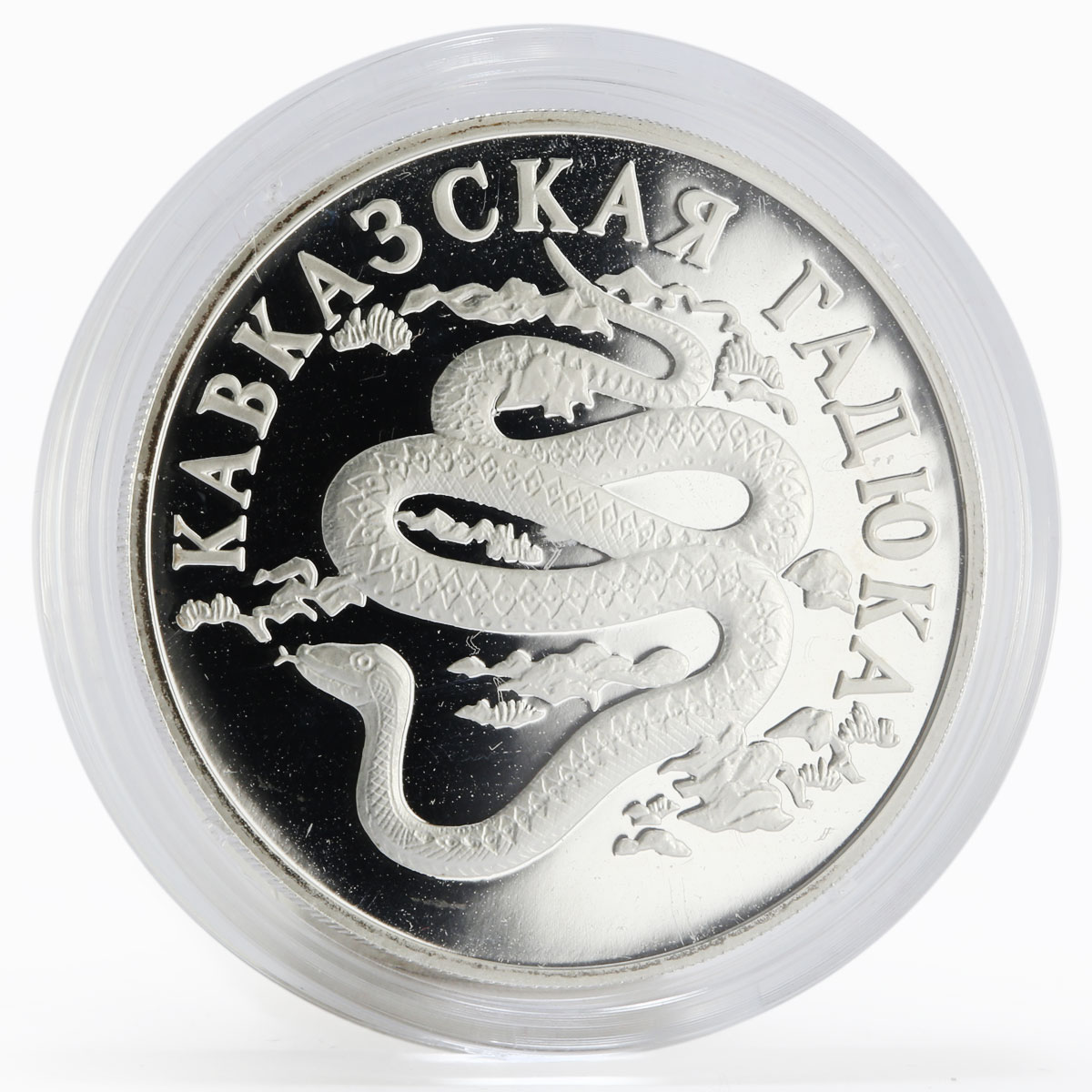 Russia 1 ruble Red Book series Caucasian Viper proof silver coin 1999