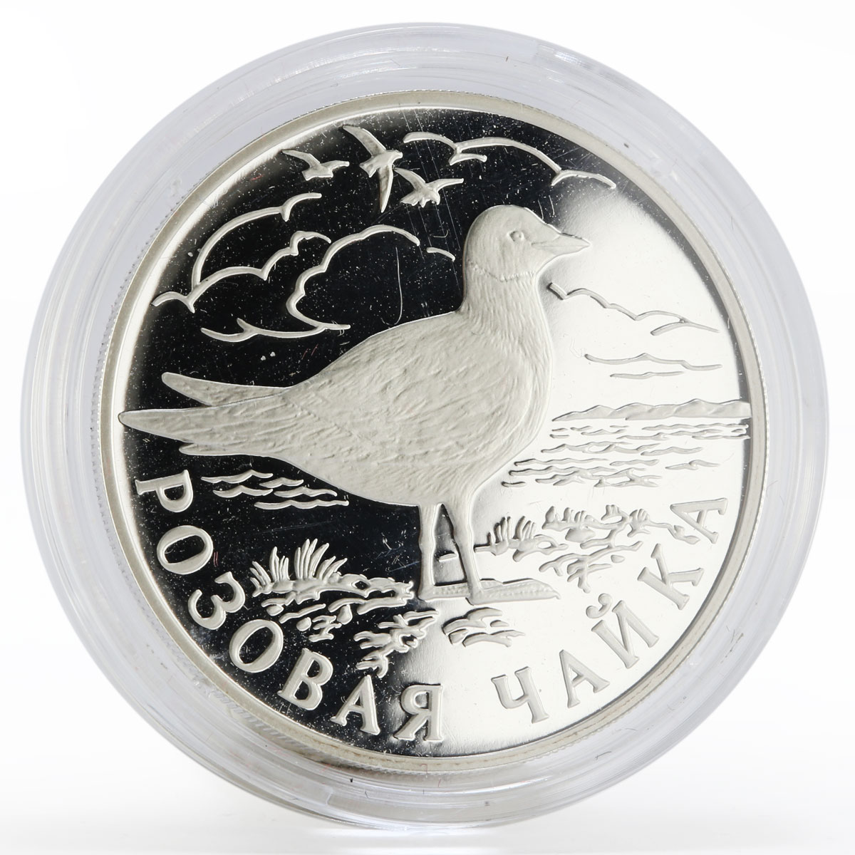 Russia 1 ruble Red Book series Rose colored Gull proof silver coin 1999