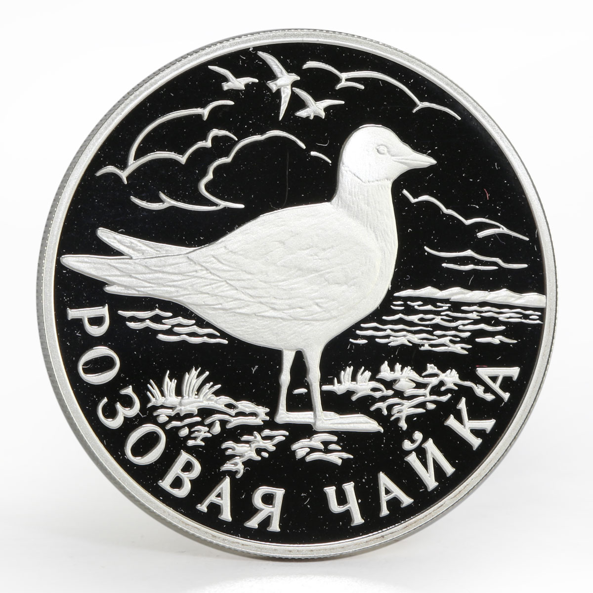 Russia 1 ruble Red Book series Rose colored Gull proof silver coin 1999