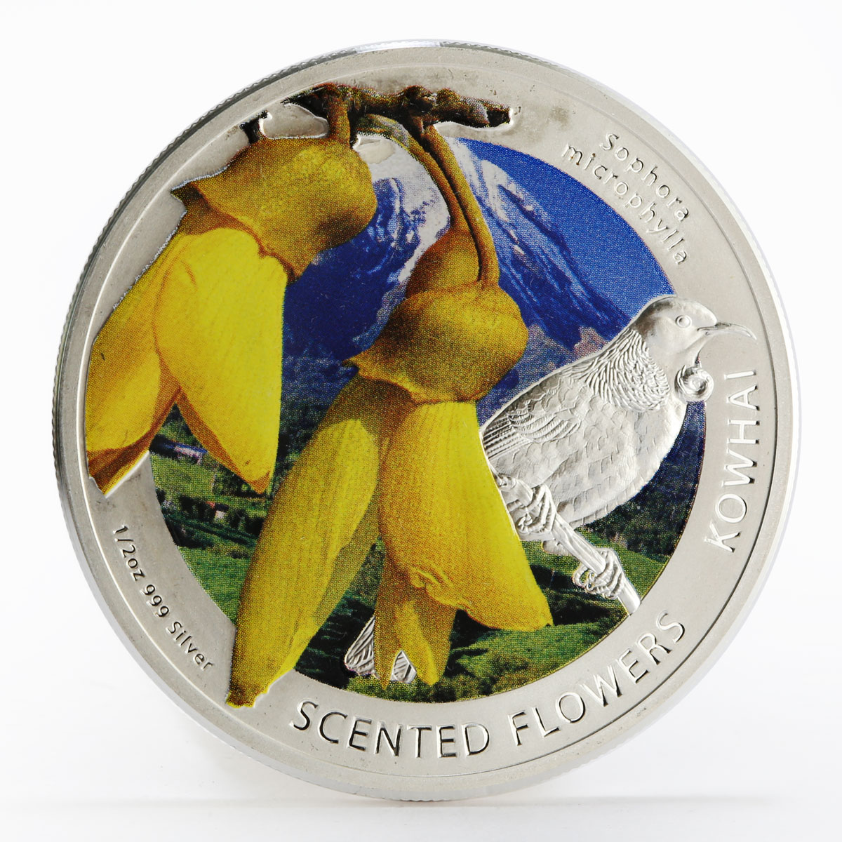 Niue 1 dollar Scented Flowers series Kowhai colored silver coin 2013