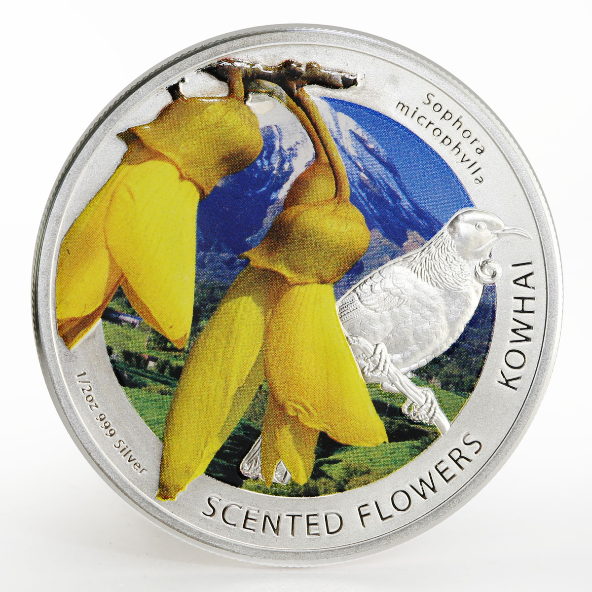 Niue 1 dollar Scented Flowers series Kowhai colored silver coin 2013
