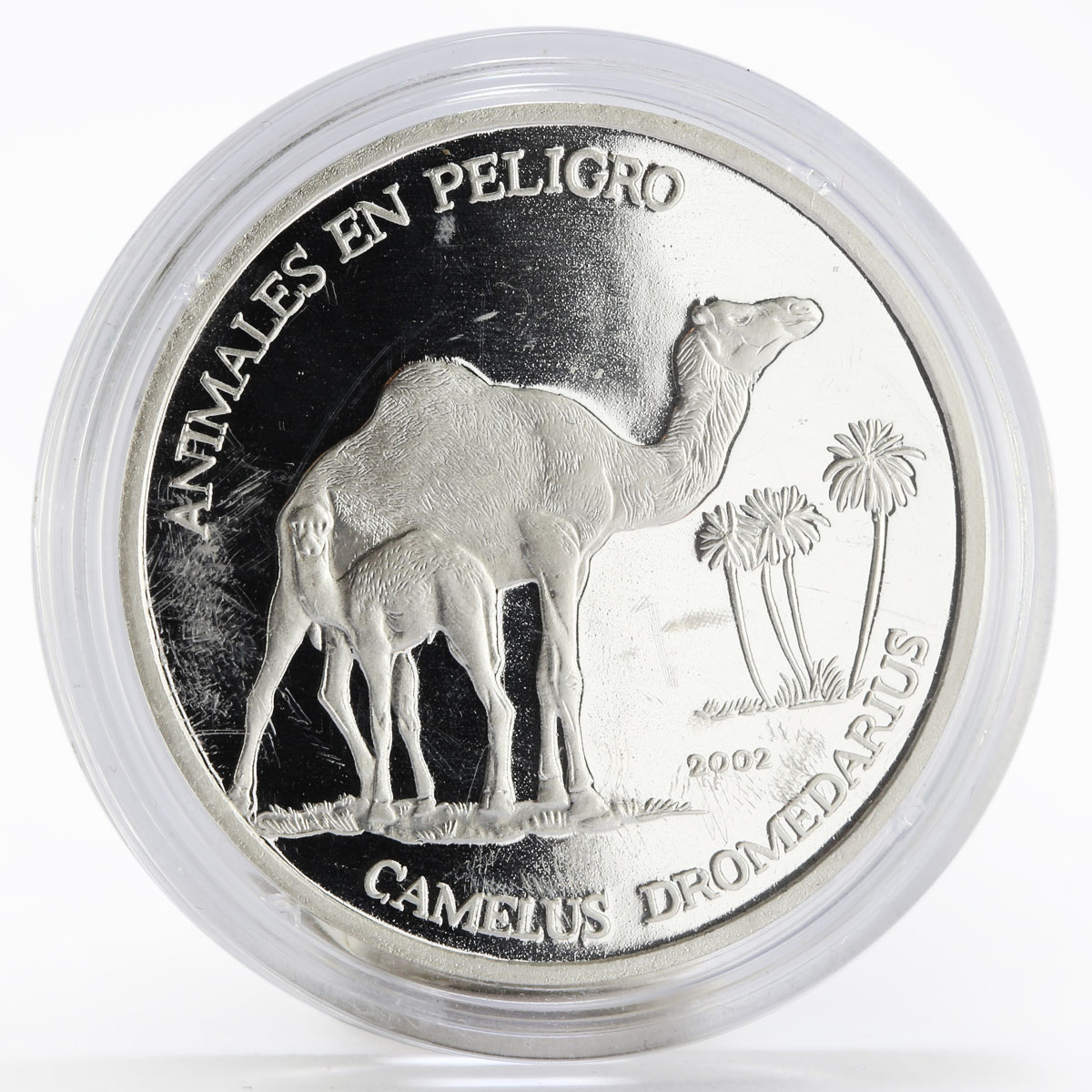 Sahrawi 1000 pesetas Dromedary Camel proof silver coin 2002