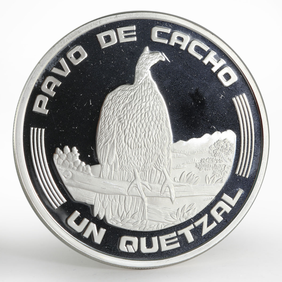 Guatemala 1 quetzal Ibero American series II Horned Guan proof silver coin 1994