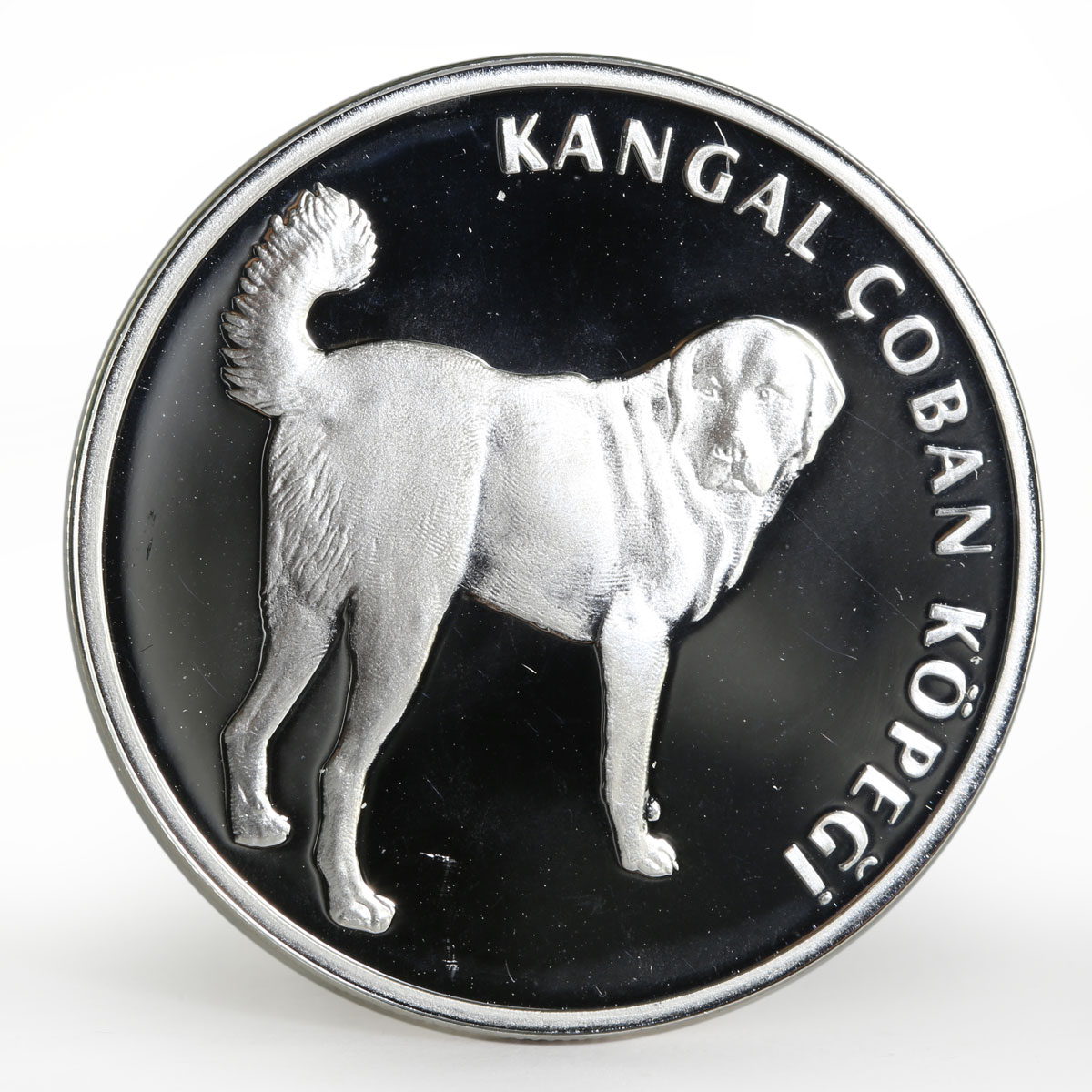 Turkey 20 lira Animal series Turkish Kangal Dog proof silver coin 2005