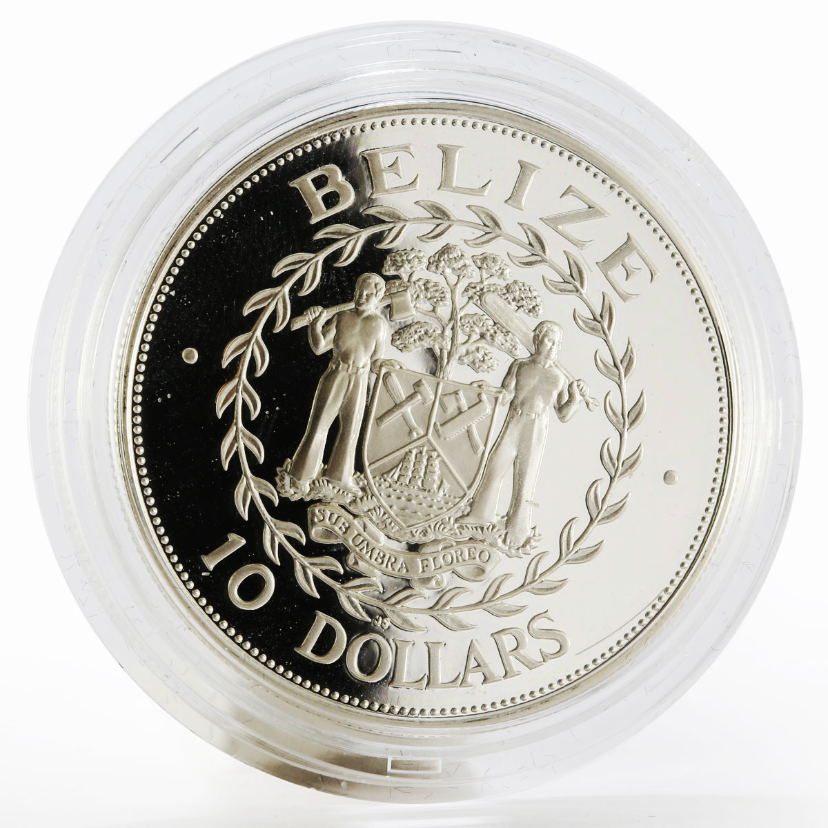 Belize 10 dollars 10th Anniversary of Independence proof silver coin 1991