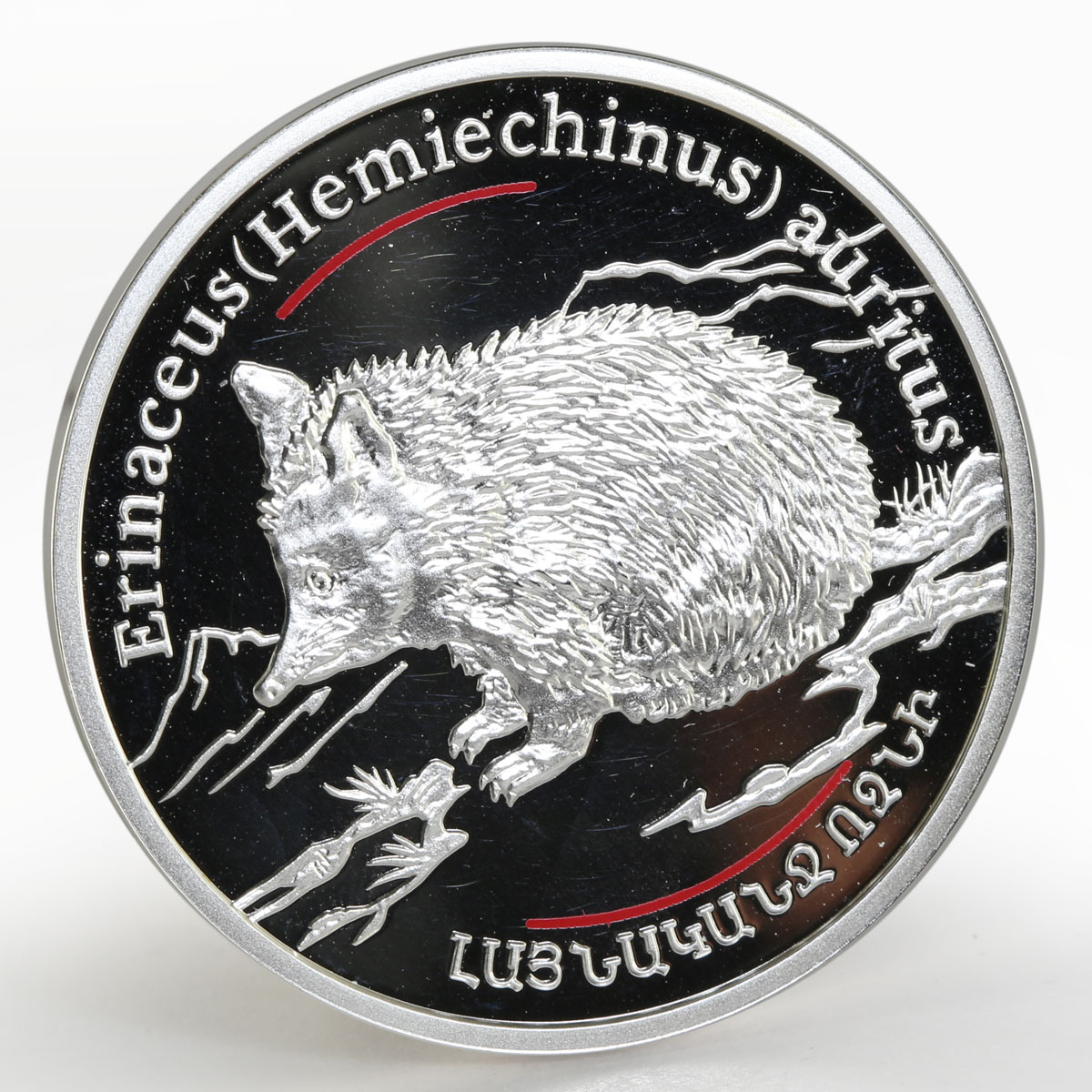 Armenia 100 dram Caucasus Wild series The Wide - Eared Hedhehog silver coin 2006