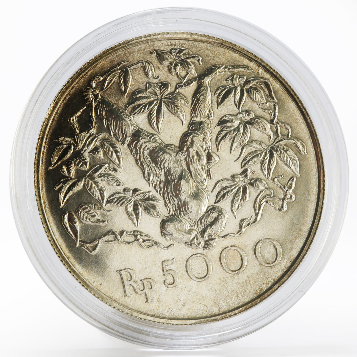 Indonesia 5000 rupiah Animal series Orangutan  silver coin 1974