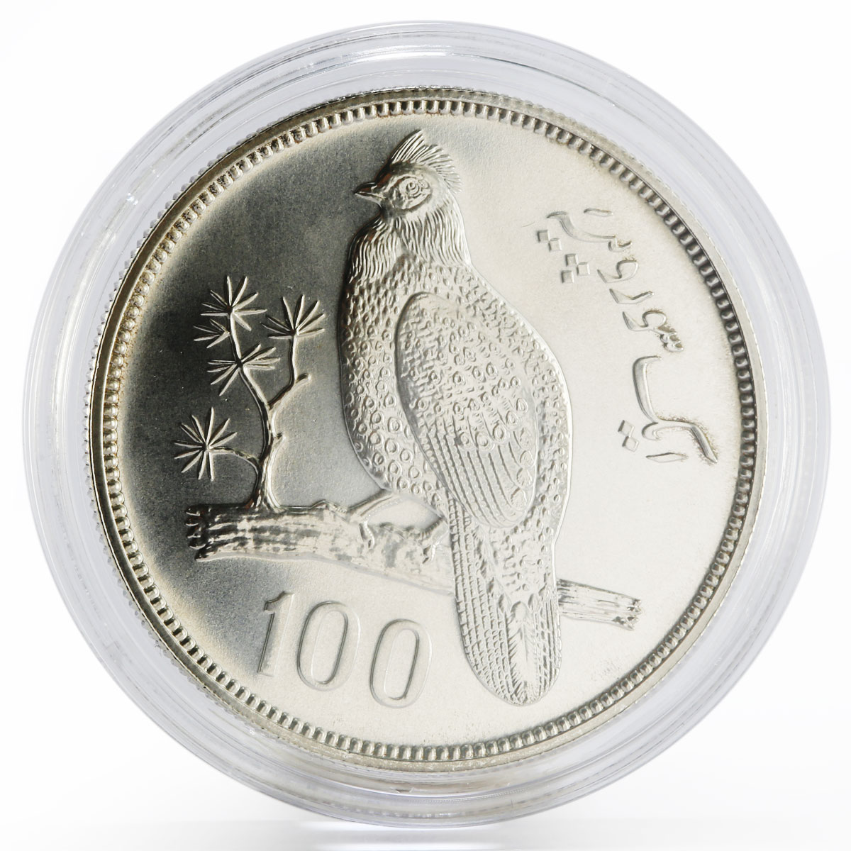 Pakistan 100 rupees Conservation series Tropogan Pheasant proof silver coin 1976