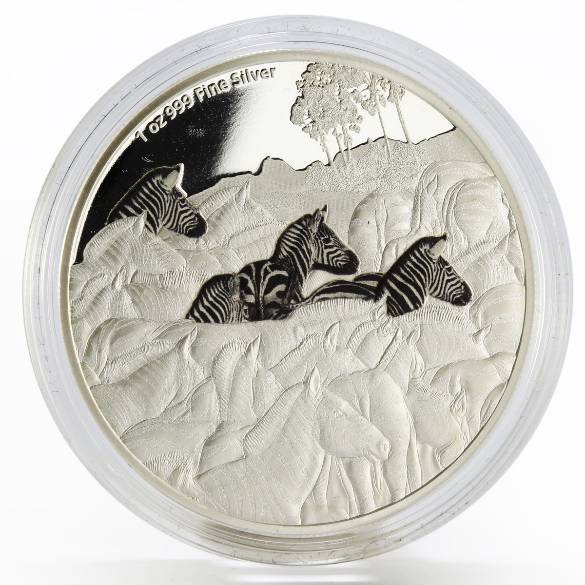 Niue 2 dollars Great Migrations series Zebra colored proof silver coin 2016