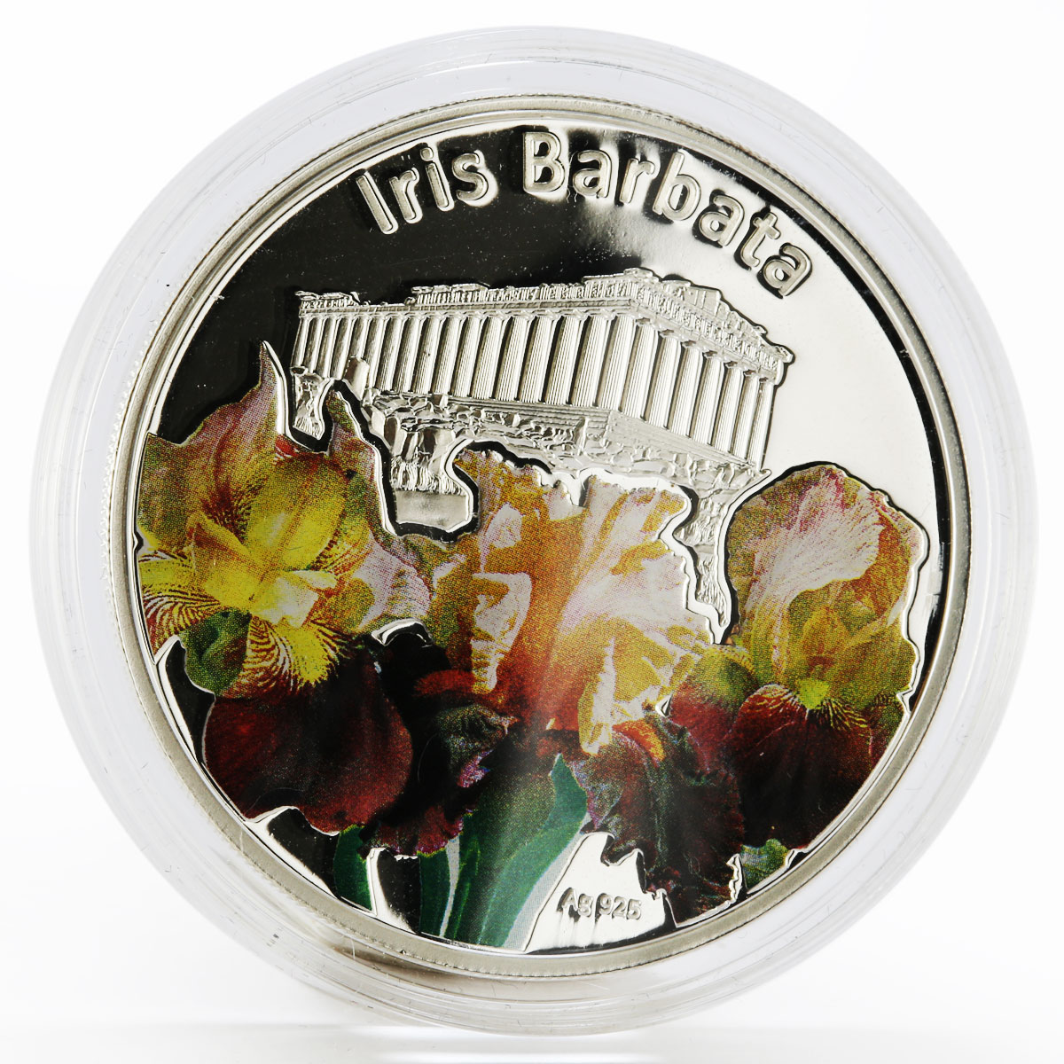 Niue 1 dollar Magical Flowers series Iris Bartis colored proof silver coin 2012