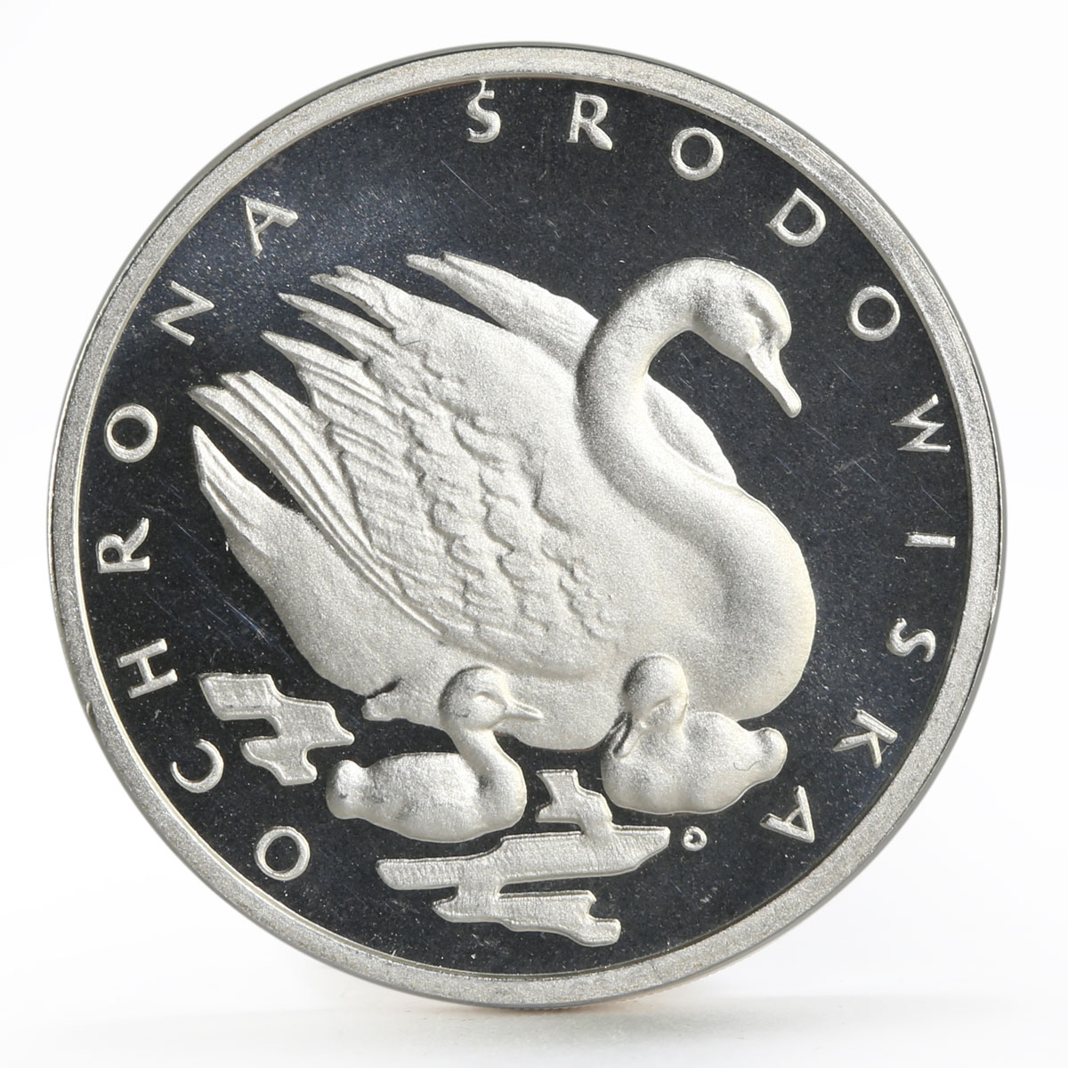 Poland 500 zlotych Endangered Wildlife series Swans proof silver coin 1984