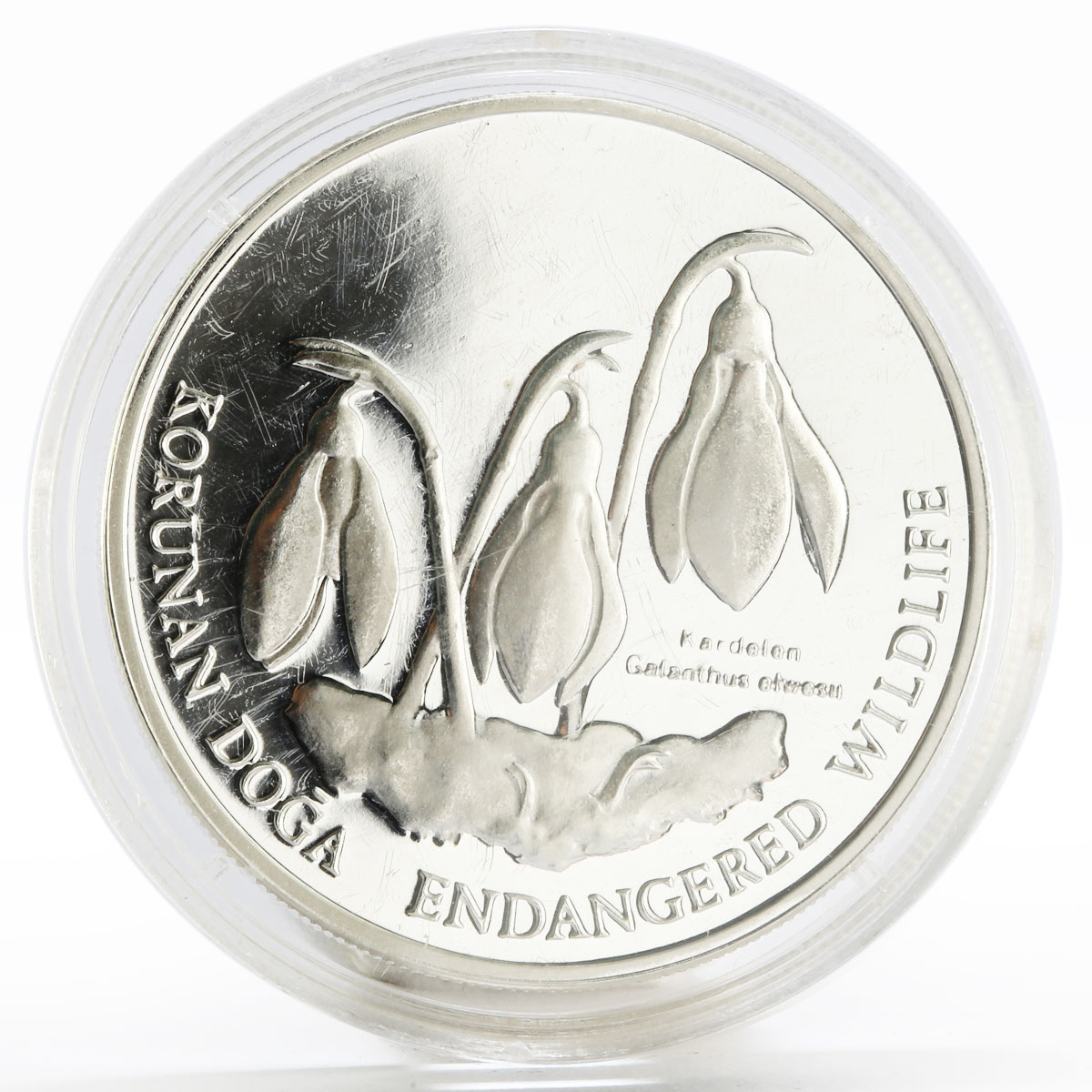 Turkey 1000000 lira Endangered Wildlife series Greater Snowdrop silver coin 1996