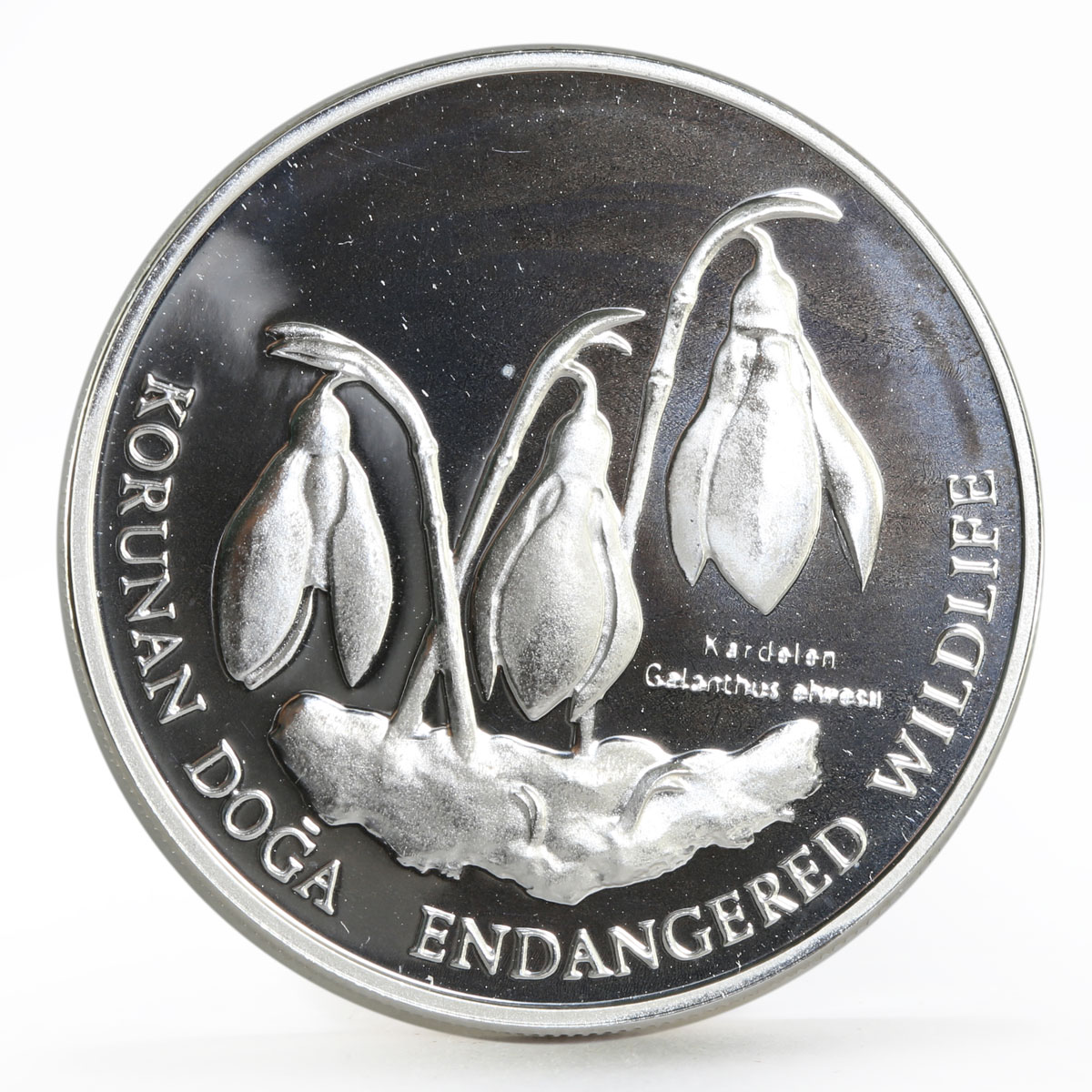 Turkey 1000000 lira Endangered Wildlife series Greater Snowdrop silver coin 1996