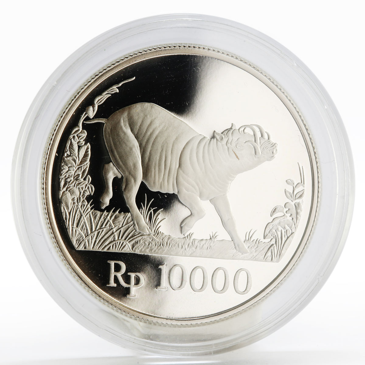 Indonesia 10000 rupiah World Wildlife series Wild Pig proof silver coin 1987