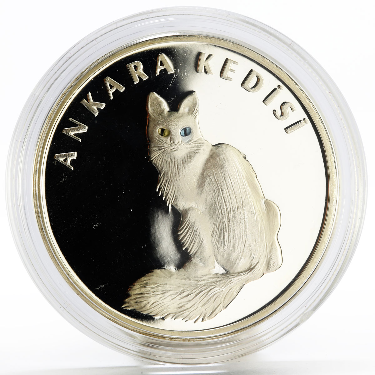 Turkey 20 lira Animal series Turkish Angora The Light Eyes Cat silver coin 2005