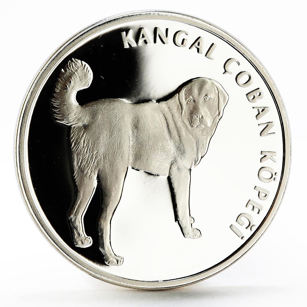Turkey 20 lira Animal series Kangal Dog proof silver coin 2005