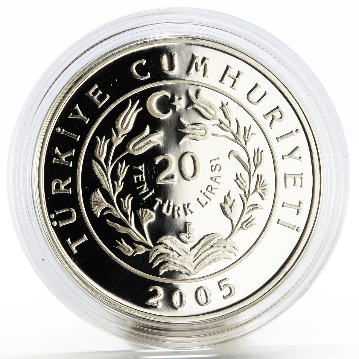 Turkey 20 lira Animal series Long Eared Hedgehog proof silver coin 2005