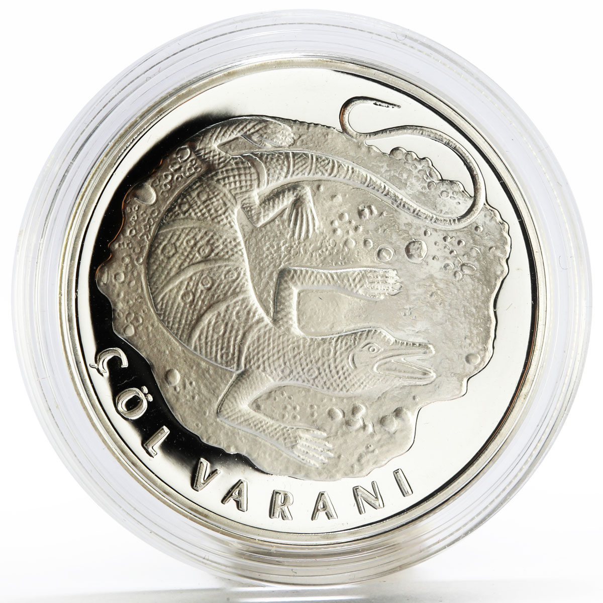 Turkey 20 lira Animal series Desert Lizard proof silver coin 2005