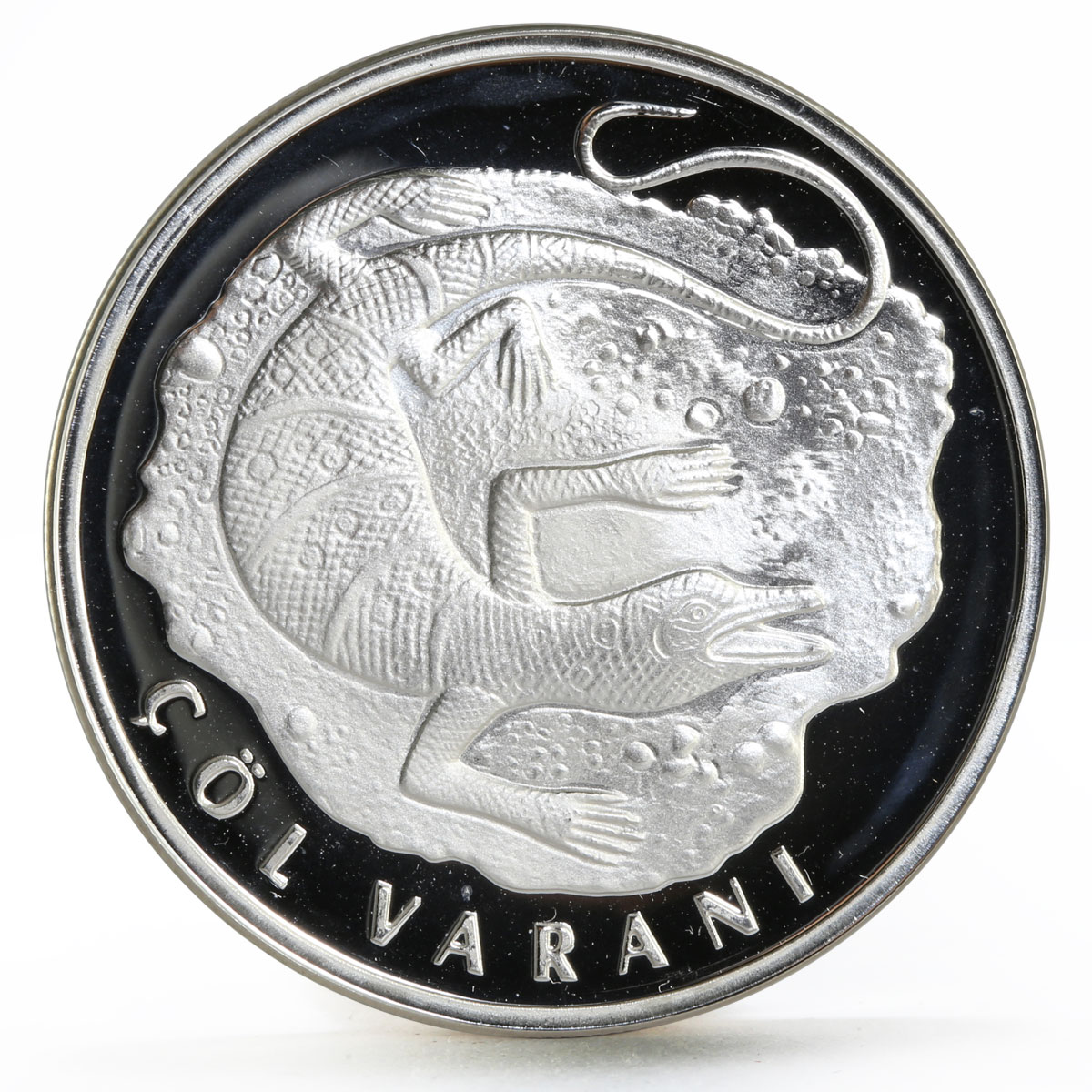 Turkey 20 lira Animal series Desert Lizard proof silver coin 2005