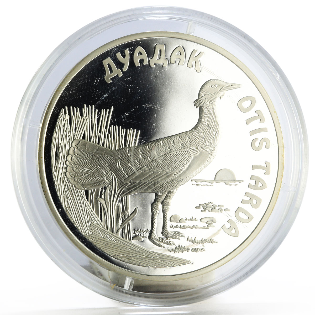 Kazakhstan 500 tenge Endangered Wildlife series Otis Tarda Bird silver coin 2003