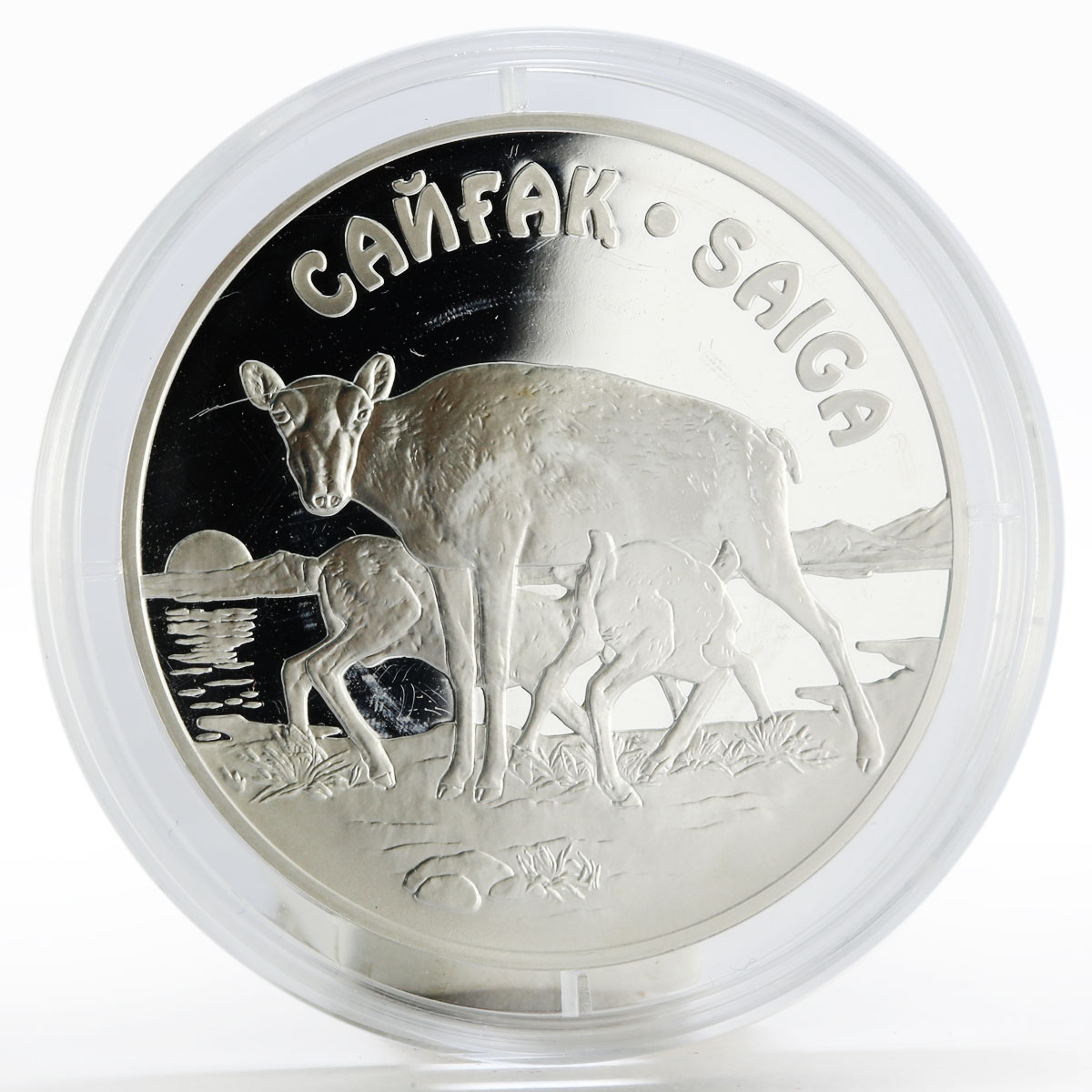 Kazakhstan 500 tenge Endangered Wildlife series Saiga proof silver coin 2001