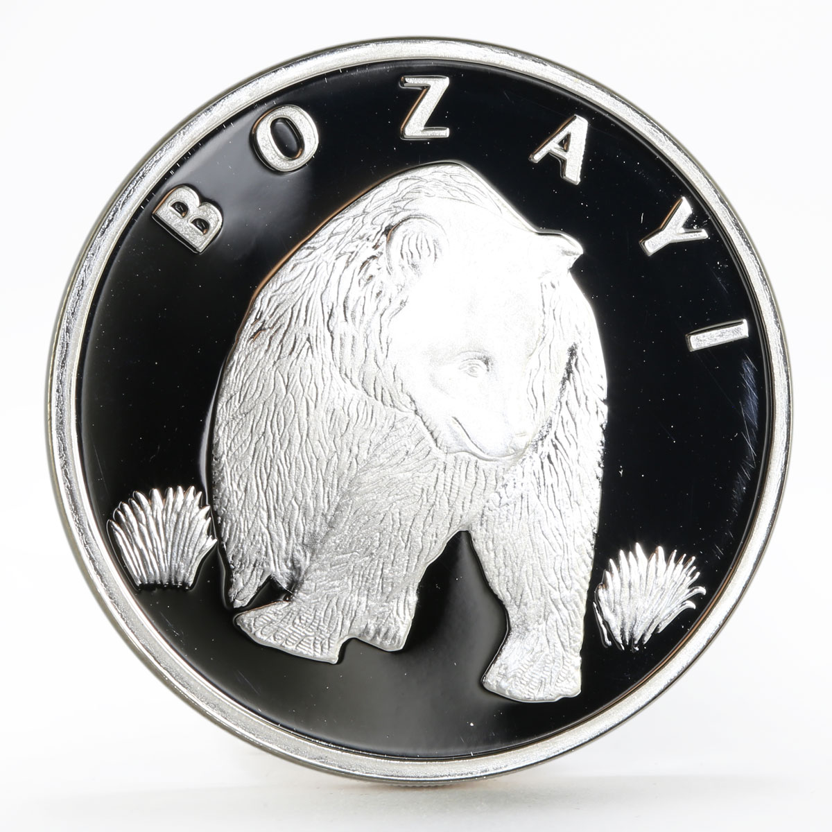 Turkey 20 lira Animal series Brown Bear Grizley proof silver coin 2005