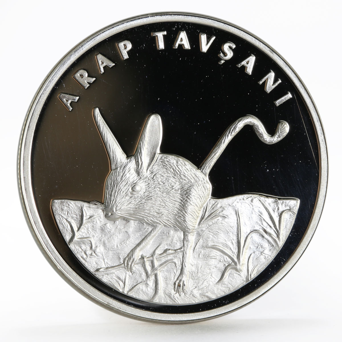 Turkey 20 lira Animal series Five-Toed Jerboa proof silver coin 2005