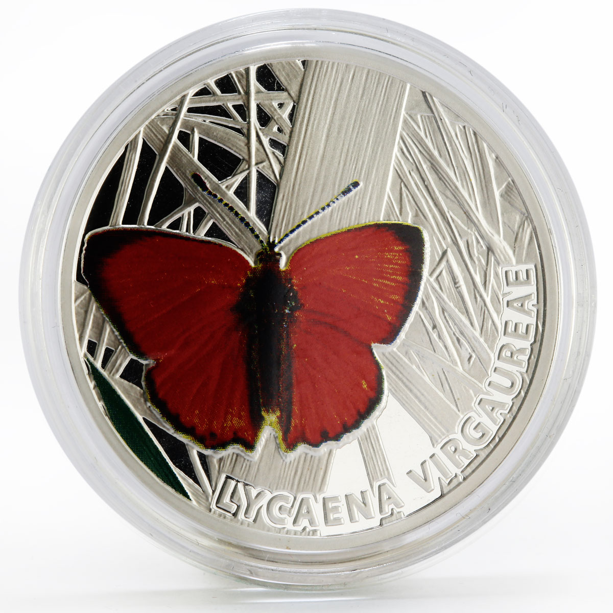 Niue 1 dollar Butterflies series Scars Copper Butterfly colored silver coin 2010