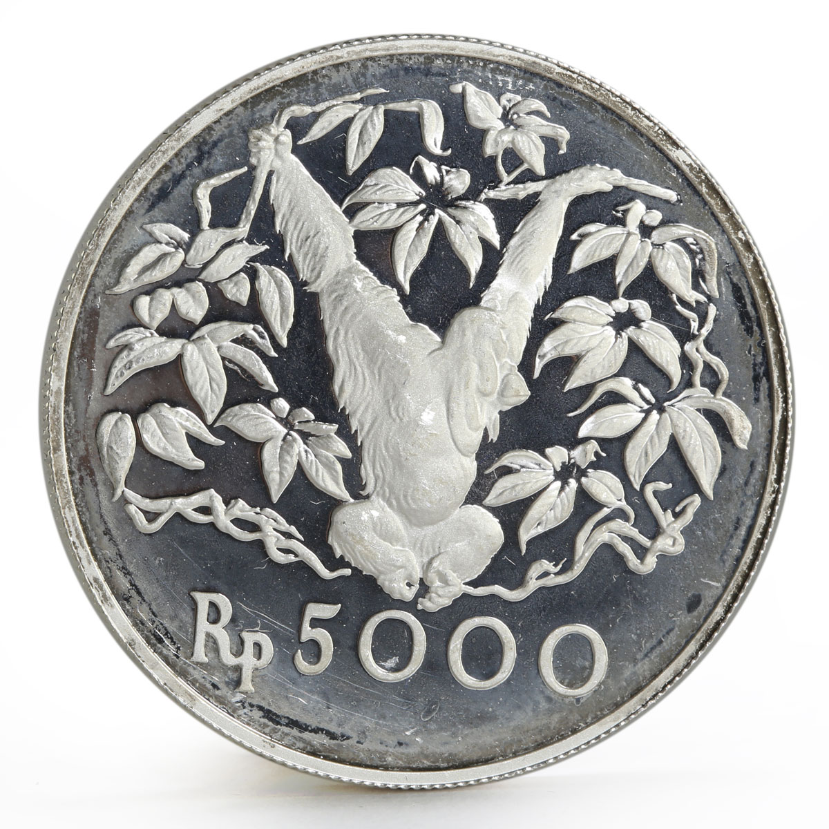 Indonesia 5000 rupiah Animal series Orangutan proof silver coin 1974