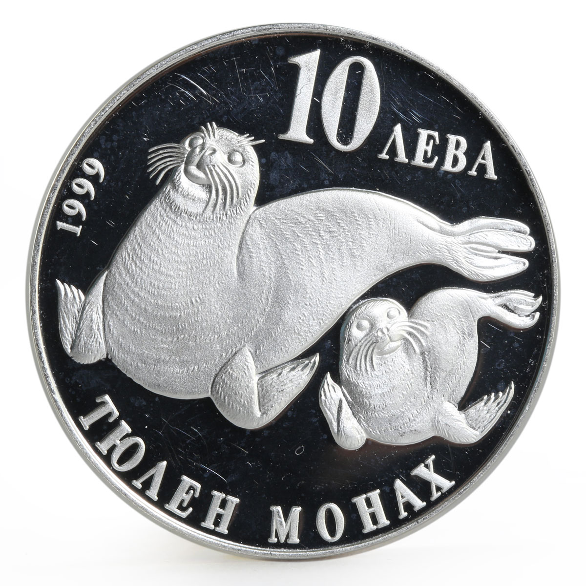 Bulgaria 10 leva Endangered Wild Animals series Monk Seal proof silver coin 1999