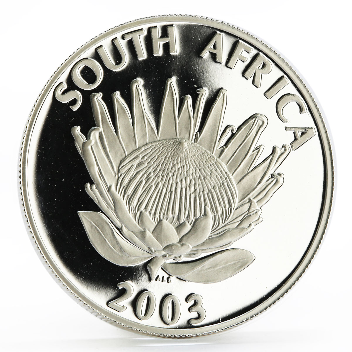 South Africa 1 rand Protea series Cricket World Cup proof silver coin 2003