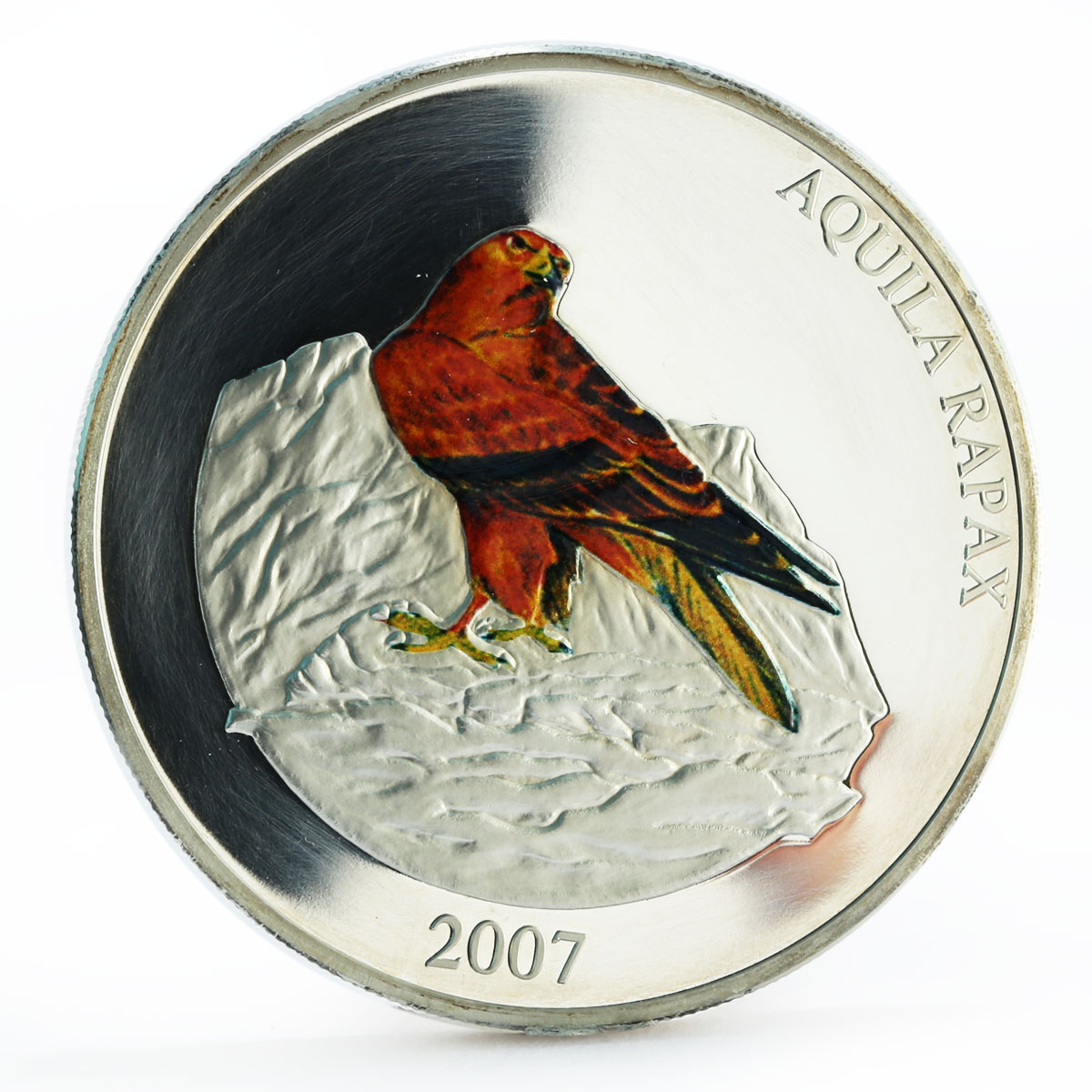 Mongolia 5000 togrog Aquila Rapax Steppe Eagle colored proof silver coin 2007