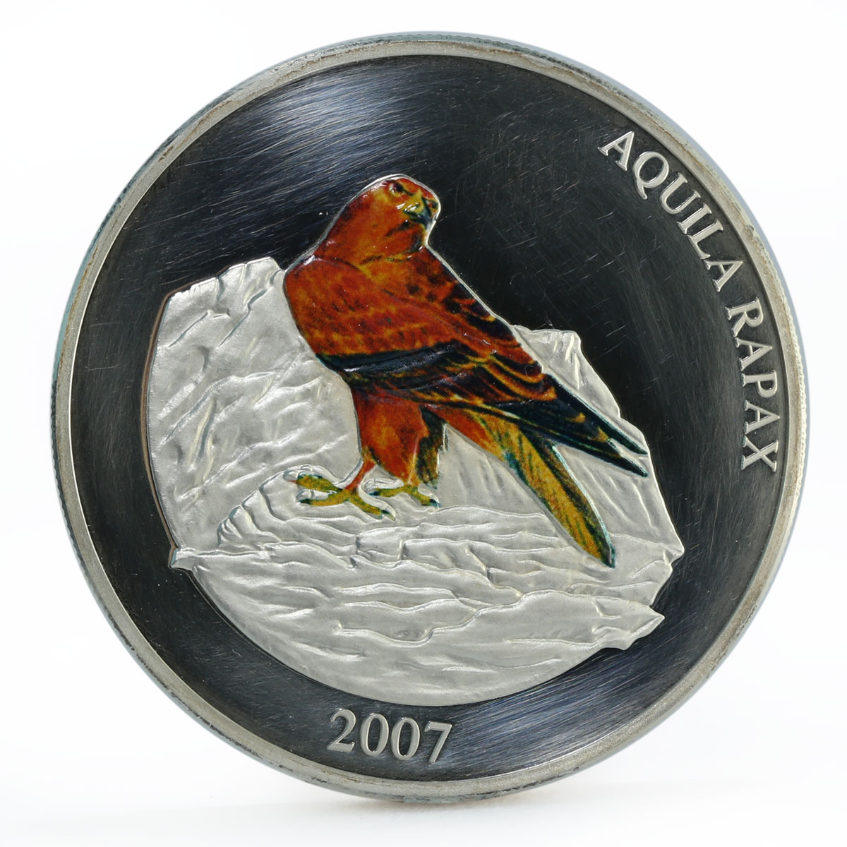 Mongolia 5000 togrog Aquila Rapax Steppe Eagle colored proof silver coin 2007