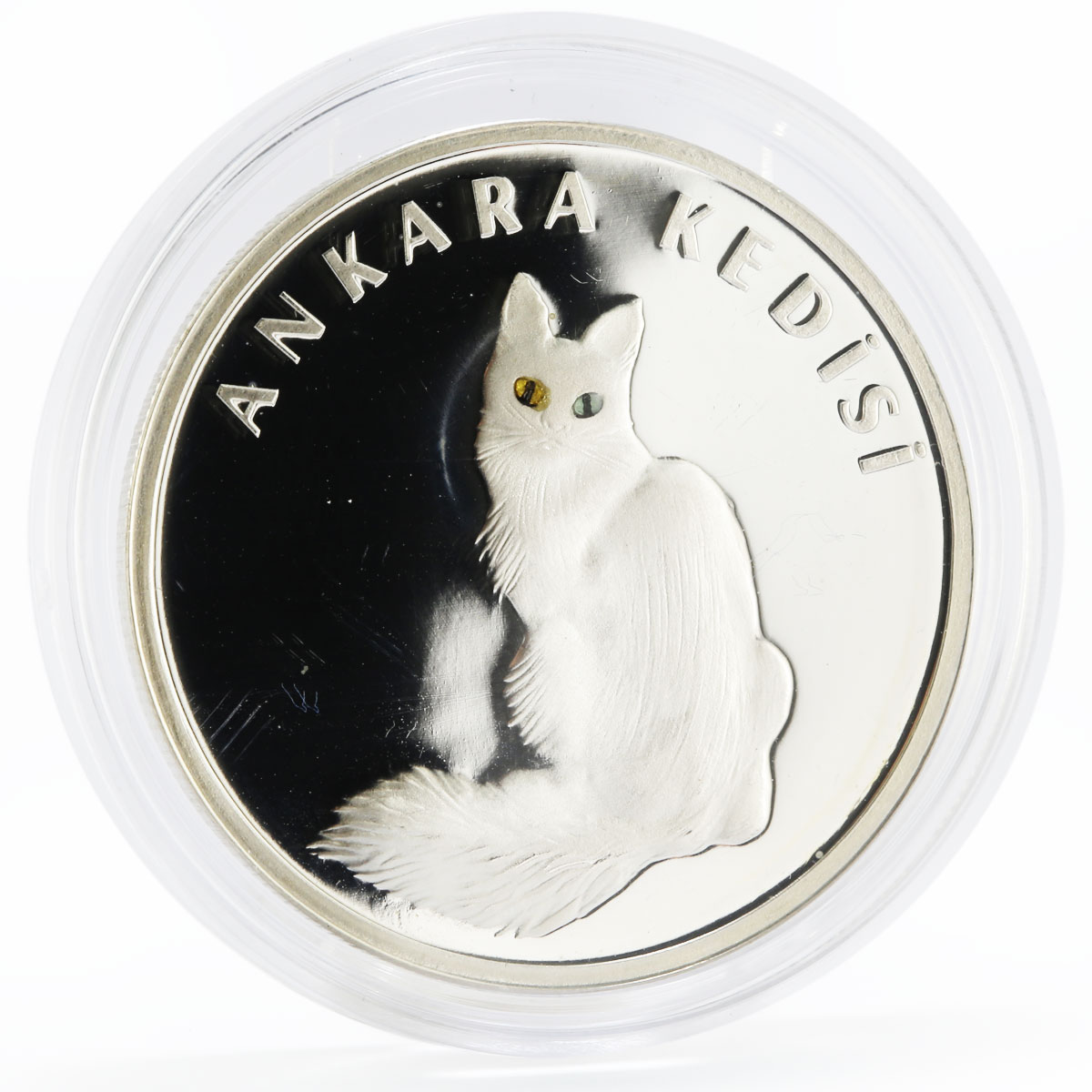 Turkey 20 lira Animal series Turkish Angora The Light Eyes Cat silver coin 2005