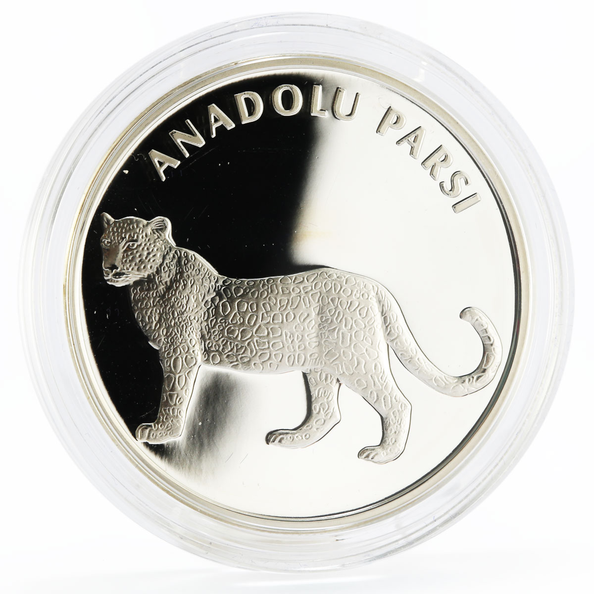 Turkey 20 lira Animal series Anatolian Leopard proof silver coin 2005