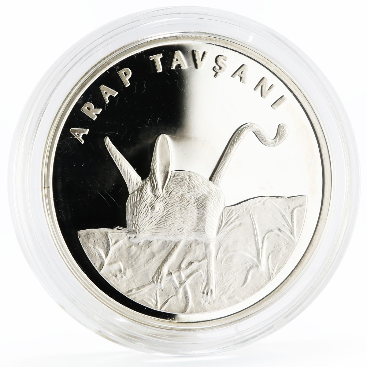 Turkey 20 lira Animal series Five-Toed Jerboa proof silver coin 2005