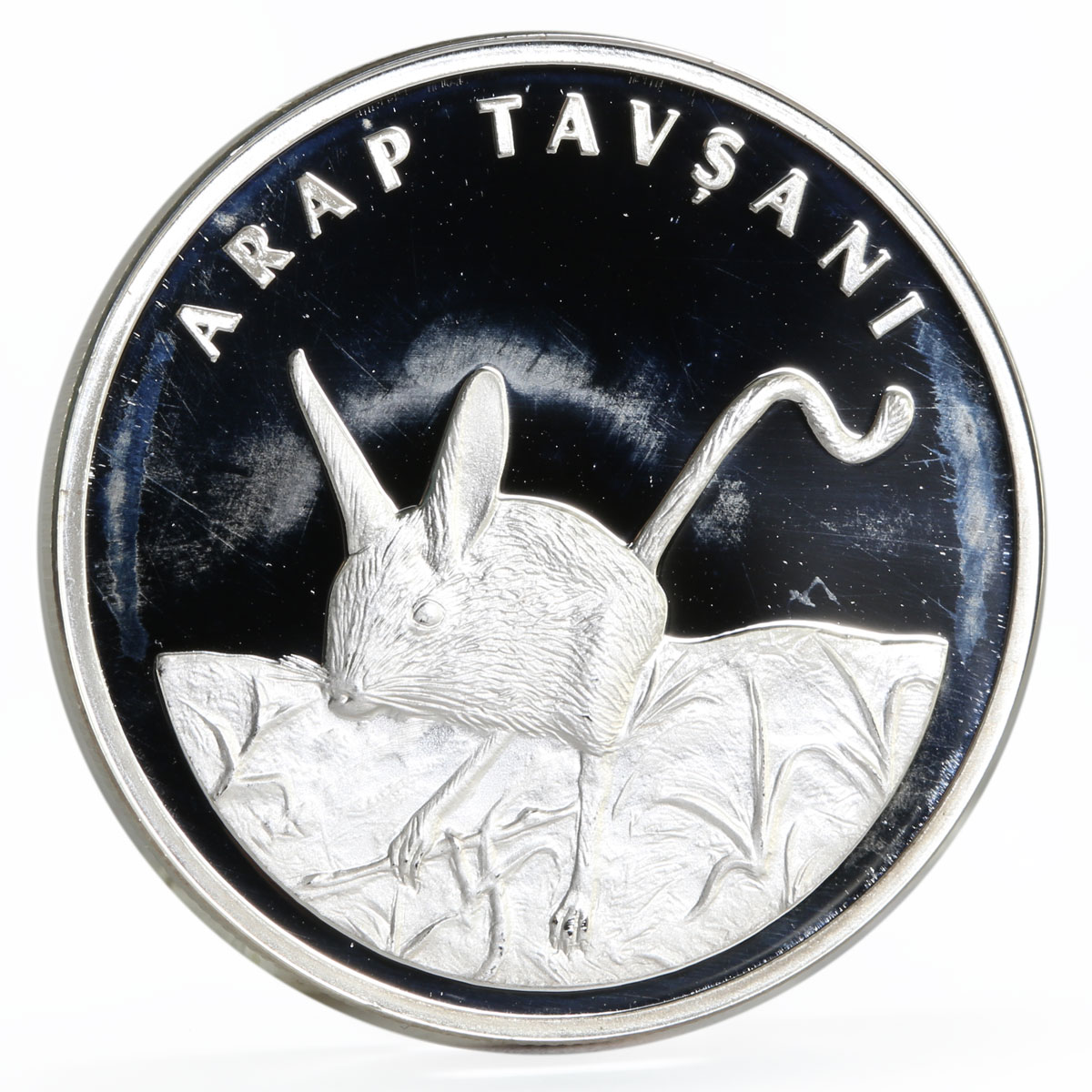 Turkey 20 lira Animal series Five-Toed Jerboa proof silver coin 2005