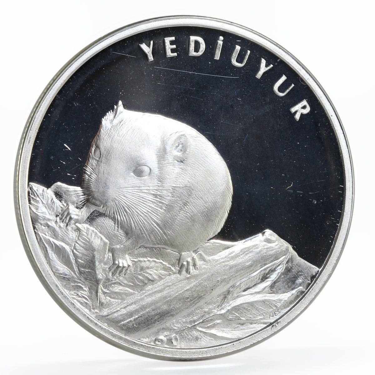 Turkey 20 lira Animal series Dormouse Gliridae proof silver coin 2005