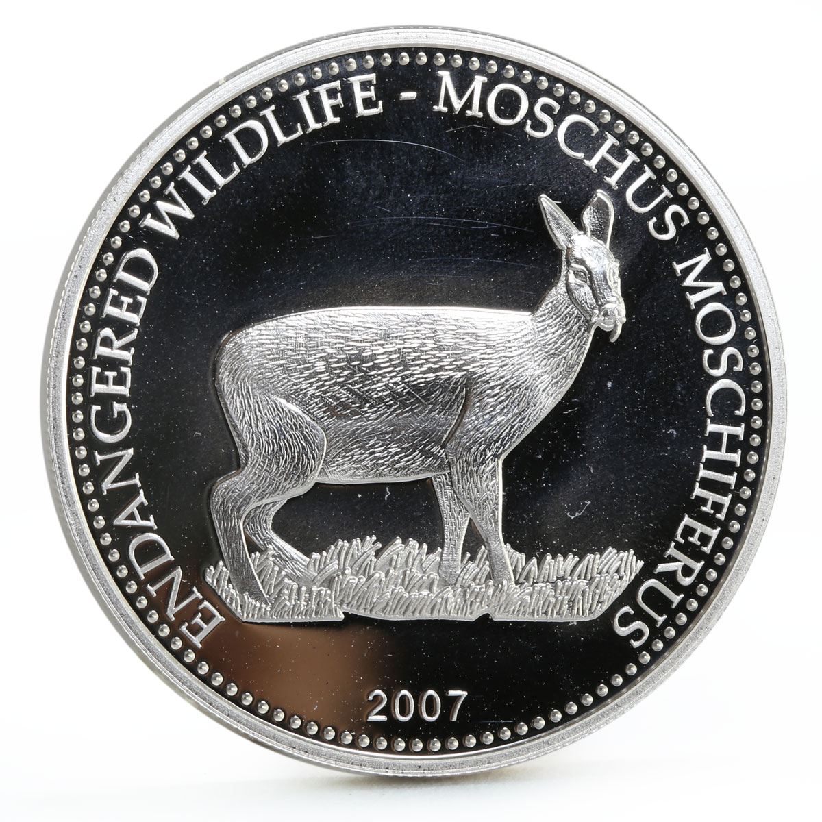 Mongolia 500 togrog Endangered Wildlife series Siberian Deer silver coin 2007